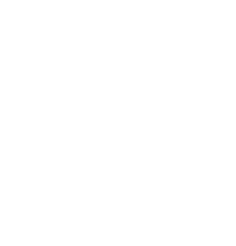 Eagle Solar Systems logo